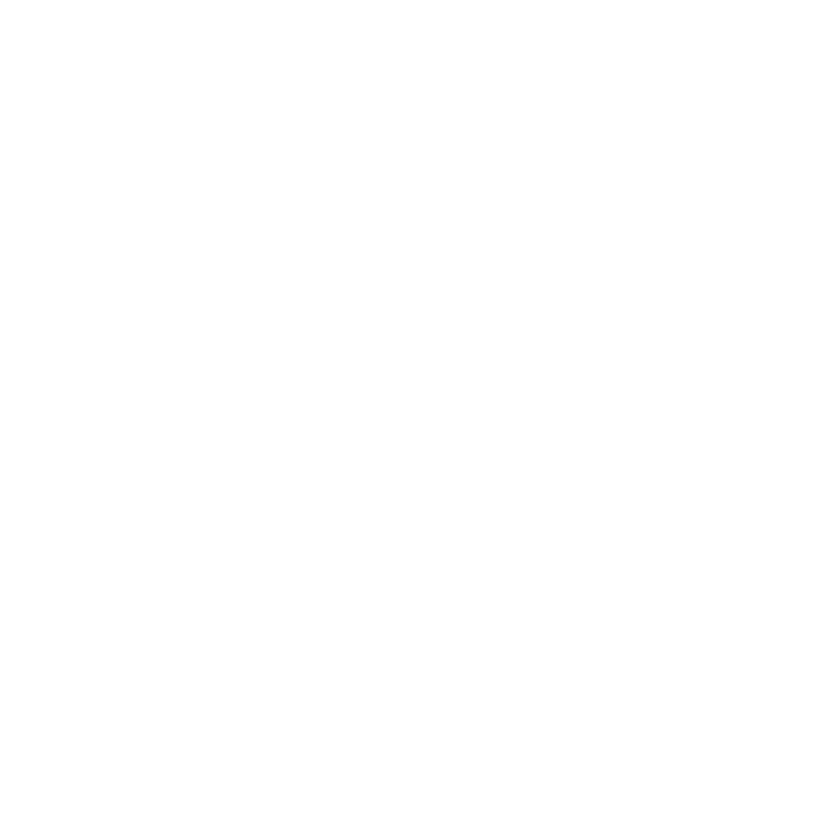 Human Tutor